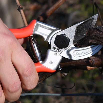 tijera-podar-castellari-universale-32021-2-ti905